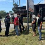pencuri kandang babi bali