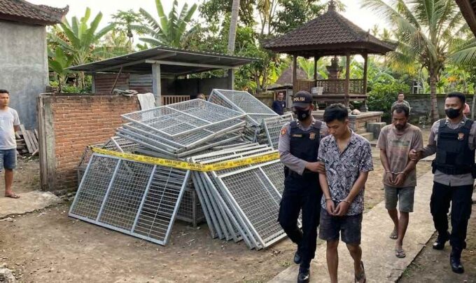 Modus Curi Kandang Babi Dijadikan Besi Tua, Dua Pria Diciduk Polisi
