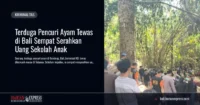 Terduga Pencuri Ayam Tewas di Bali Sempat Serahkan Uang Sekolah Anak