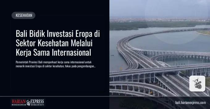 Bali Bidik Investasi Eropa di Sektor Kesehatan Melalui Kerja Sama Internasional