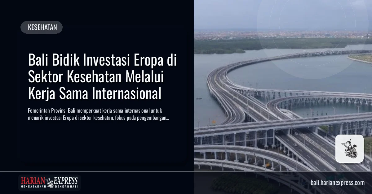 Bali Bidik Investasi Eropa di Sektor Kesehatan Melalui Kerja Sama Internasional