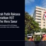 Bendera Merah Putih Raksasa Berkibar Meriahkan HUT ke-81 RI di The Meru Sanur