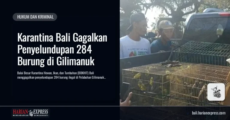 Karantina Bali Gagalkan Penyelundupan 284 Burung di Gilimanuk