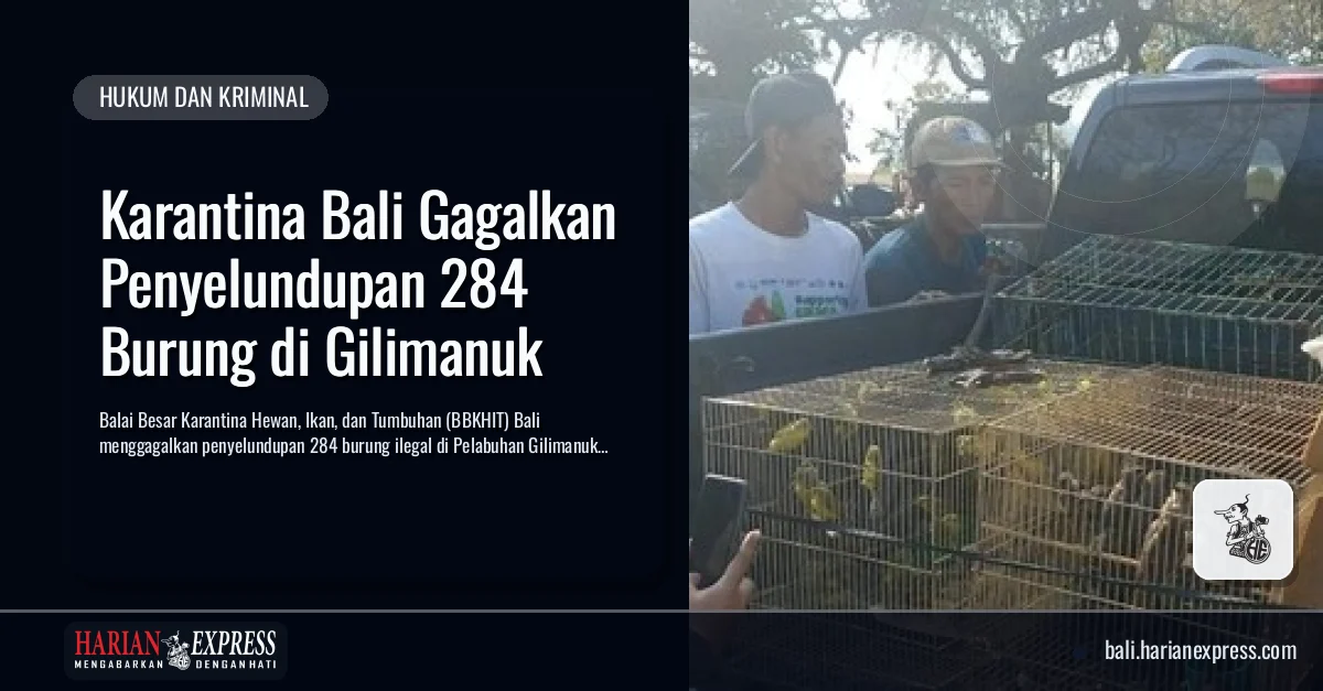 Karantina Bali Gagalkan Penyelundupan 284 Burung di Gilimanuk