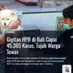 Gigitan HPR di Bali Capai 45.365 Kasus, Tujuh Warga Tewas