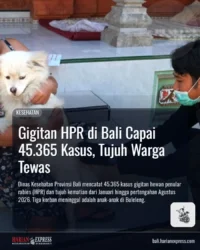 Gigitan HPR di Bali Capai 45.365 Kasus, Tujuh Warga Tewas